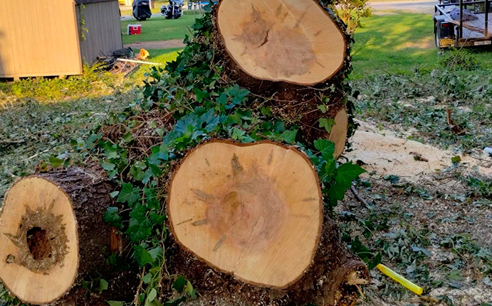 Auto Fuel Rescue in Hesperia