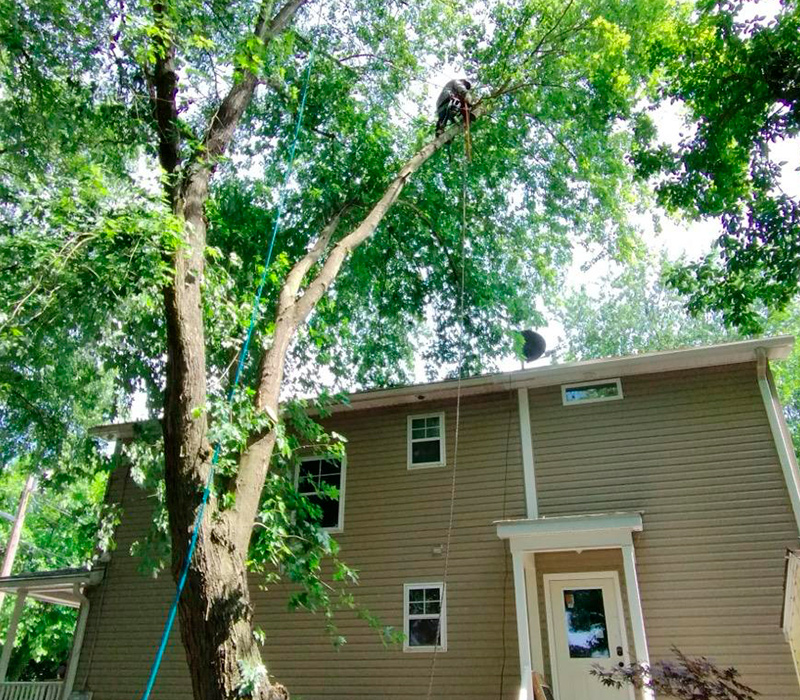 Towing services in Hesperia