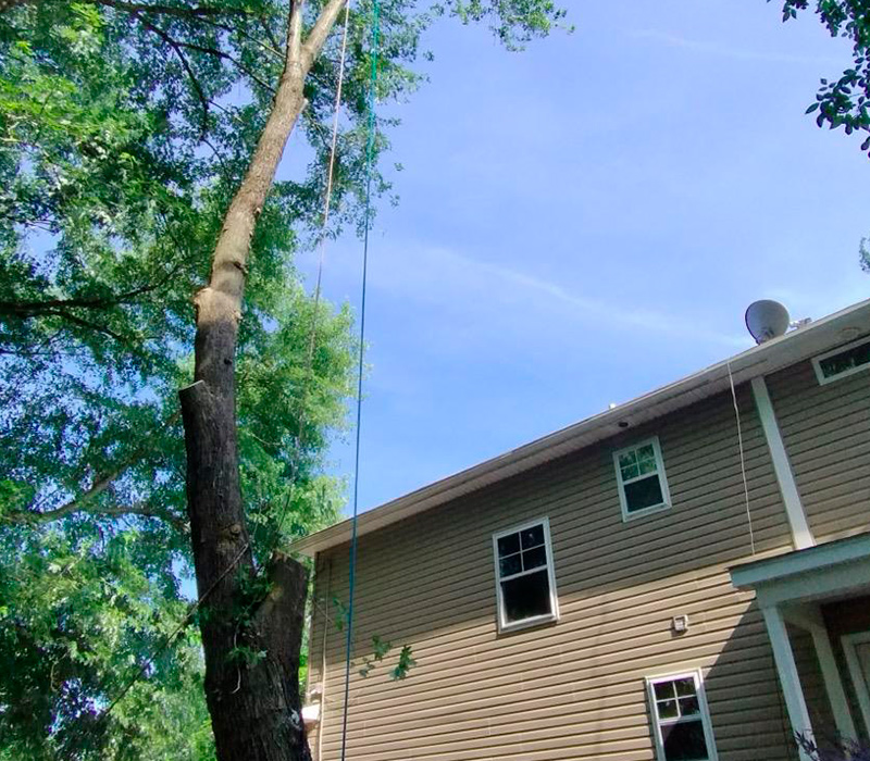 Towing services in Hesperia