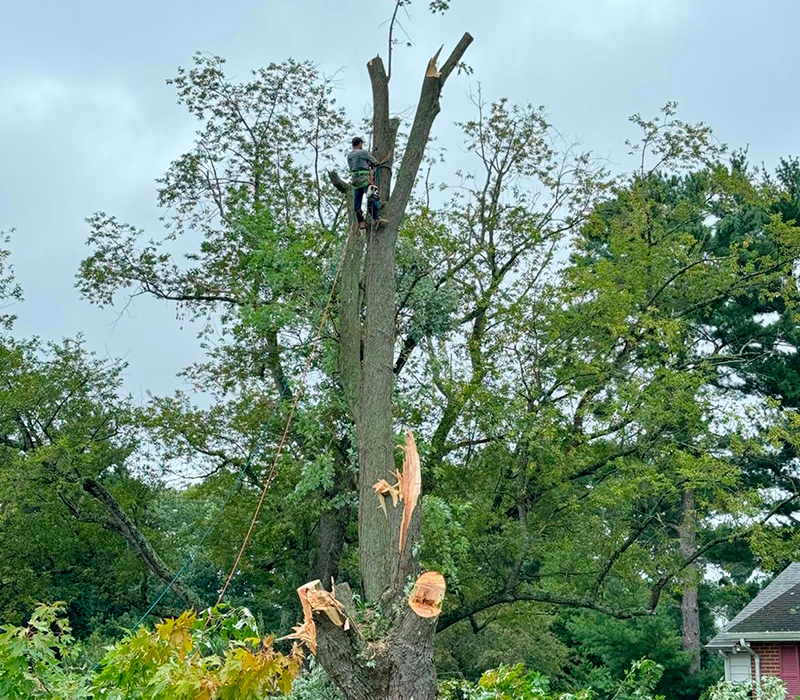 Towing services in Hesperia